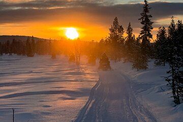 Snowmobile Adventure in Kiruna