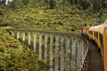 11 Day Shared Rail Tour of NZ North Island