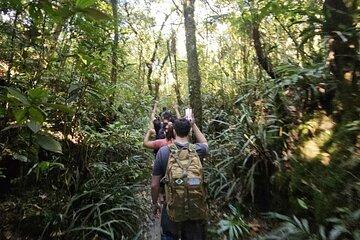 Ubud Country Side Jungle Trekking