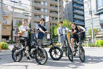 Tokyo: 2 hour Electric Bike Tour of City Highlights