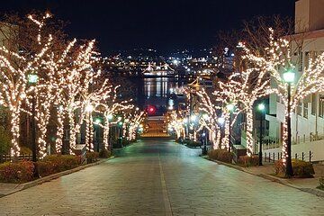 Private Hokkaido Guided 5 Day Tour with Transportation