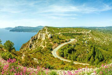 Cassis & Cap Canaille Private Coastal Tour from Marseille
