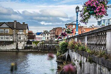 Limerick Private Walking Tour with a Local