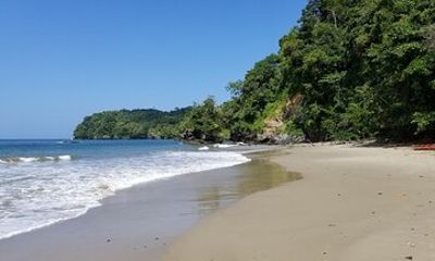 A True Trinidad North Coast Excursion experience