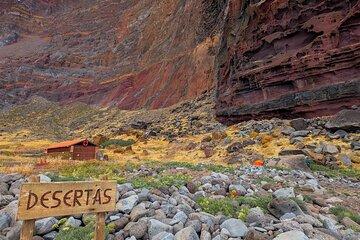Desertas Island Day Tour