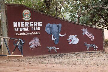8-Day Safari in Nyerere Mikumi Ruaha Parks