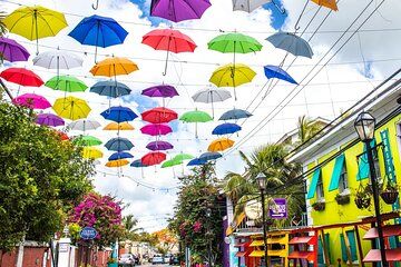 Private Local Flavors and Artisan Tour of Nassau