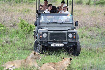 1 Day Mikumi Safari from Dar Es Salaam by Train