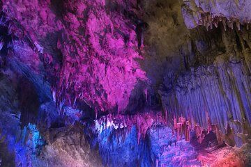 Waitomo Glowworm Caves and Hamilton Gardens Tour
