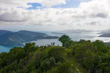 Queen Charlotte Track Self Guided Hike to Eatwells Lookout
