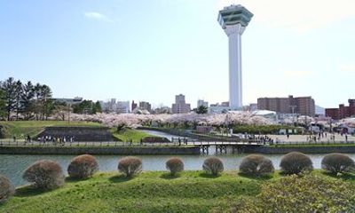 Full-Day Private Hakodate Shore Tour with Local Guide