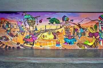 Sao Paulo Graffiti and Urban Art Tour with Transfers