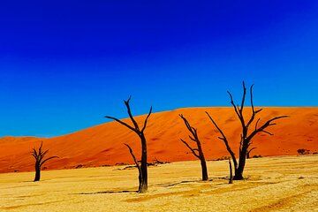 6-Day Namibia Desert and Wildlife Safari Adventure