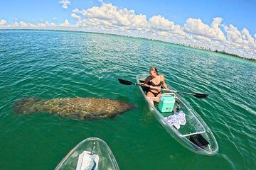3-Hour Clear Kayak Beach Hopping Adventure in Sarasota