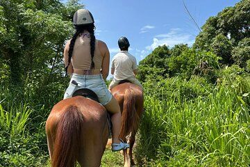 Antigua Horse Ride and Swim