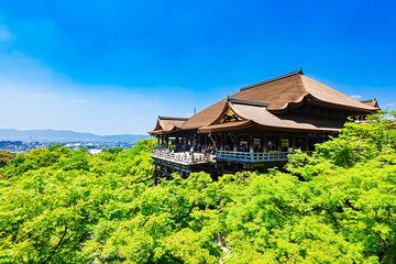 1 day Kyoto Timeless Beauty Tour Temples and Geisha District