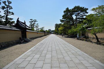 Morning Ancient Nara Tour Journey to Horyuji Temple