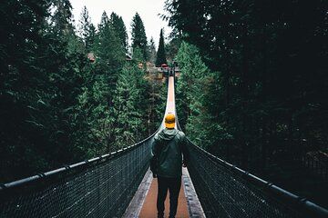 Limited Small Group: Vancouver City & Capilano Suspension Bridge