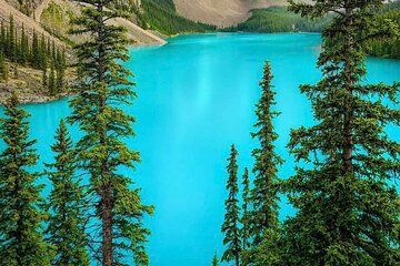 Banff Gondola, Lake Louise and Emerald Lake Tour