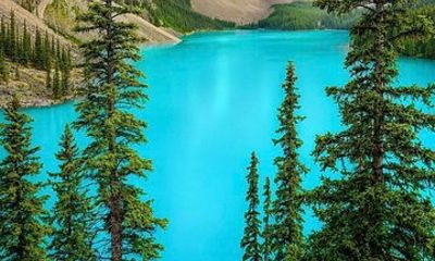 Banff Gondola, Lake Louise and Emerald Lake Tour