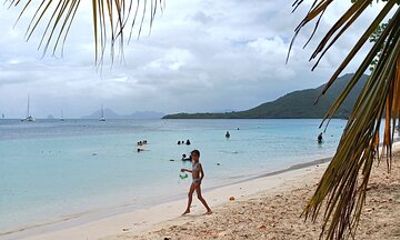 Tour to discover the paradisiacal beaches of the South (Salines)