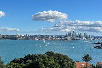 Auckland City Half Day Small Group Tour - Best Spots