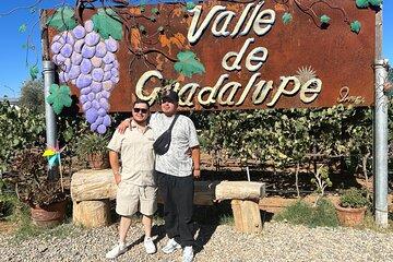 Guadalupe Valley Wine Route