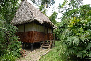 5 Days Safari to Manu Wildlife Center