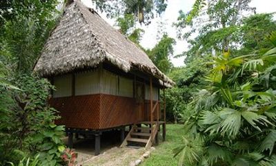 5 Days Safari to Manu Wildlife Center