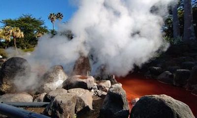 Private Beppu Hell Sightseeing Tour by Car