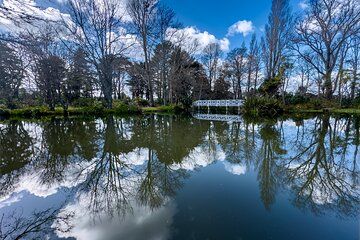 Secret Realms of Middle-earth: Lothlorien and Gladden Fields