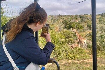 Addo Elephant and Schotia Safari from Port Elizabeth