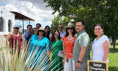 Tour Between Vines, Nut and Sotol
