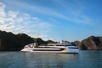 Dolphin Cruise Halong Premium Largest Day Tour in Ha Long Bay