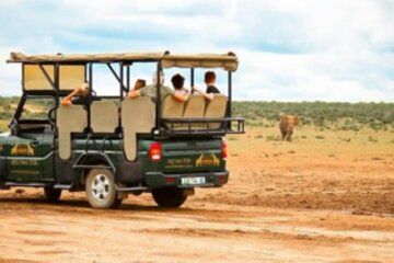 The Tooth and Claw Schotia Game Reserve Private Tour