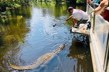 Swamp Boat Ride and Whitney Plantation Tour from New Orleans