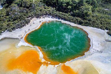 Ex Hamilton TRIPLE DEAL Wai O Tapu Redwood Forest and Blue Spring