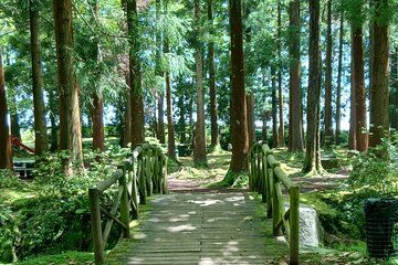 Best of Terceira Full Day Tour