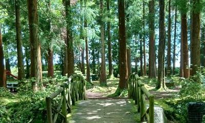 Best of Terceira Full Day Tour