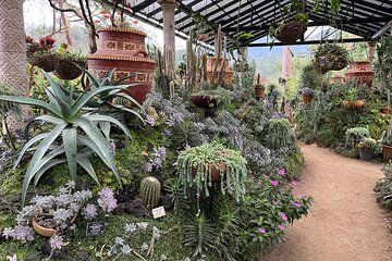 South Shore and Vallarta Botanical Garden Private Tour