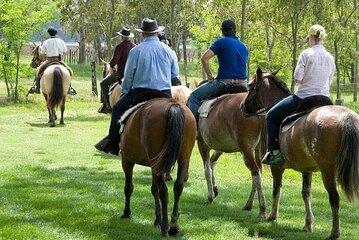 Explore an Authentic Ranch and meet True Gauchos