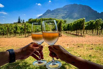 Kefalonia Wine Tour with 18 Tastings at Three Wineries