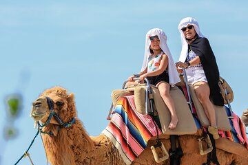 Los Cabos Camel Ride and Tequila Tasting Experience