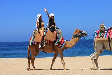 Outback and Camel Safari Los Cabos with Tequila Tasting
