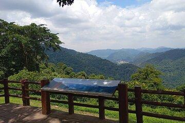 Khao Yai Private Customizable Trip From Bangkok