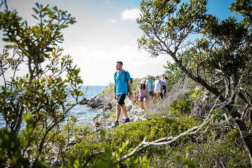 Mangrove and Coastal Trail Hike Small Group Tour in Grand Cayman