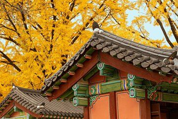 Seoul Private Layover Tour from the Airport with a Local