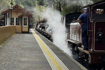 Private Puffing Billy Steam Train and Healesville Sanctuary Tours