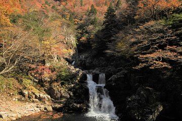 Sandan Falls Immersion Trail with Kurobuchi Boat Crossing