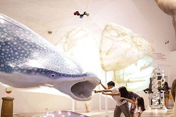 Manila Urban Charms and Gondola Bliss Cityscape Tour